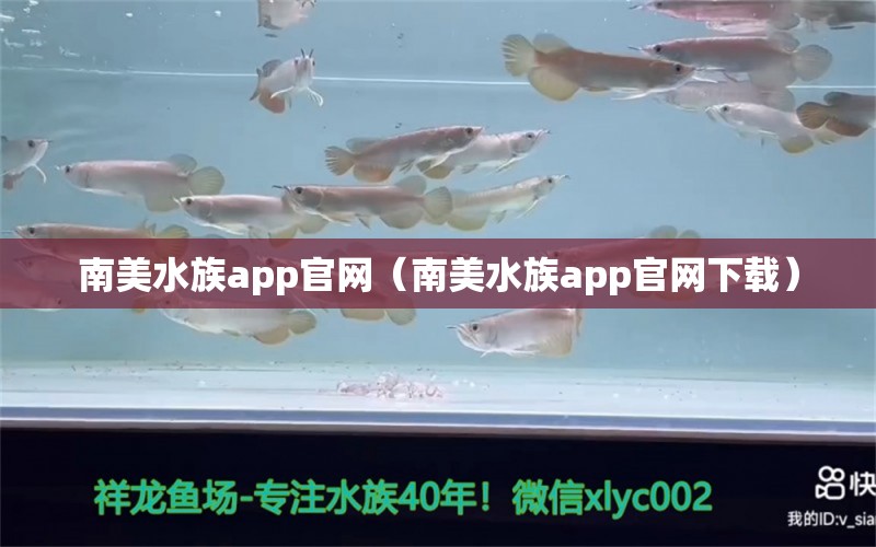 南美水族app官网（南美水族app官网下载）