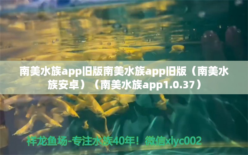 南美水族app旧版南美水族app旧版（南美水族安卓）（南美水族app1.0.37）