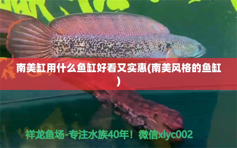 南美缸用什么鱼缸好看又实惠(南美风格的鱼缸)