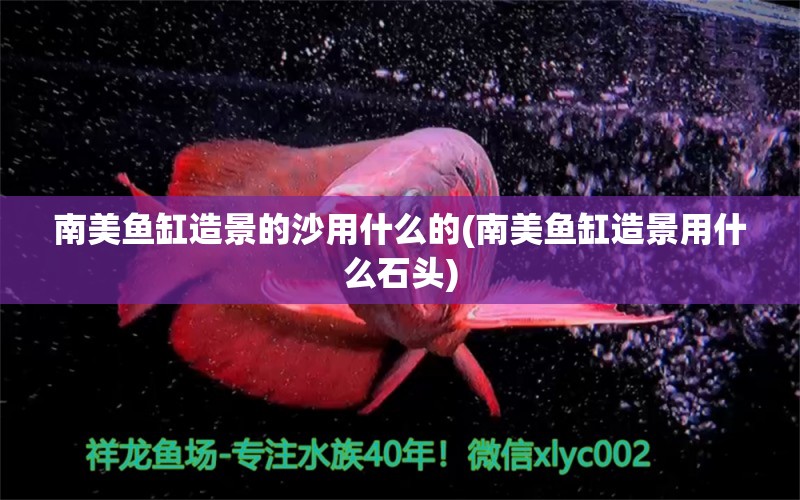 南美鱼缸造景的沙用什么的(南美鱼缸造景用什么石头)