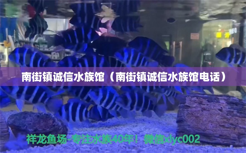 南街镇诚信水族馆（南街镇诚信水族馆电话） 全国水族馆企业名录