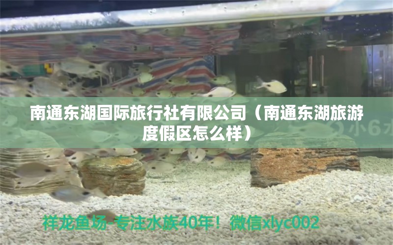 南通东湖国际旅行社有限公司（南通东湖旅游度假区怎么样） 全国水族馆企业名录