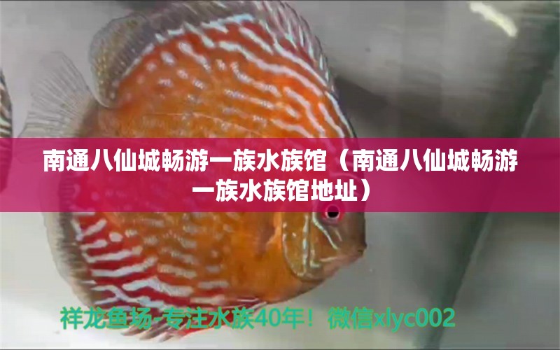 南通八仙城畅游一族水族馆（南通八仙城畅游一族水族馆地址）