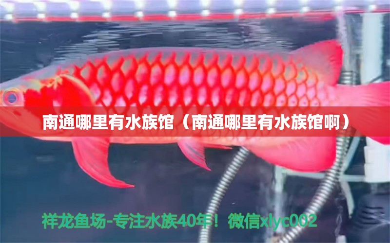 南通哪里有水族馆（南通哪里有水族馆啊）