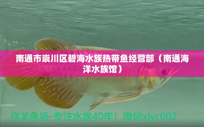 南通市崇川区碧海水族热带鱼经营部（南通海洋水族馆）