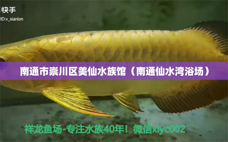 南通市崇川区美仙水族馆（南通仙水湾浴场） 全国水族馆企业名录