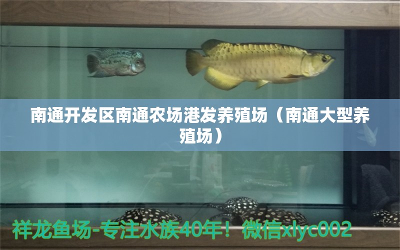 南通开发区南通农场港发养殖场（南通大型养殖场） 全国水族馆企业名录