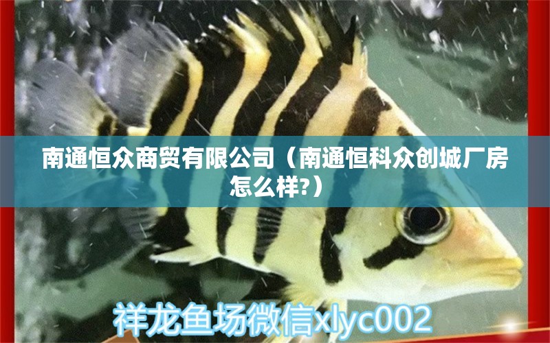 南通恒众商贸有限公司（南通恒科众创城厂房怎么样?） 全国水族馆企业名录