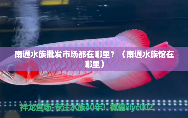 南通水族批发市场都在哪里？（南通水族馆在哪里）