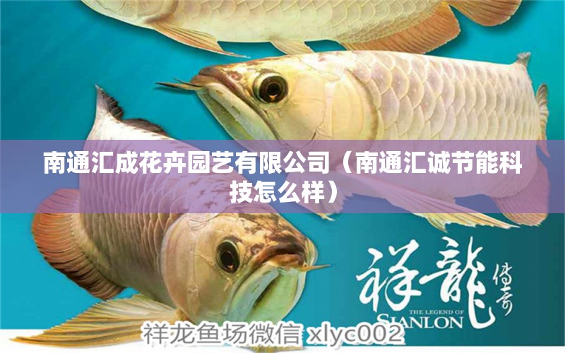 南通汇成花卉园艺有限公司（南通汇诚节能科技怎么样） 全国水族馆企业名录