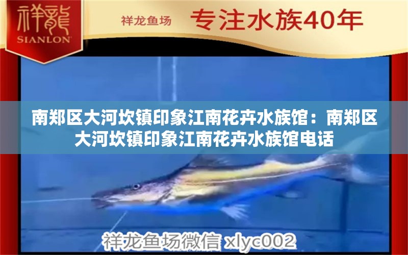 南郑区大河坎镇印象江南花卉水族馆：南郑区大河坎镇印象江南花卉水族馆电话