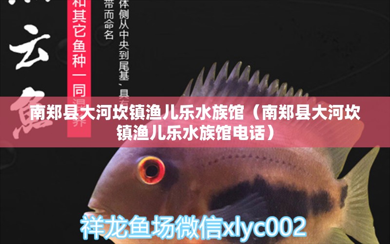 南郑县大河坎镇渔儿乐水族馆（南郑县大河坎镇渔儿乐水族馆电话）