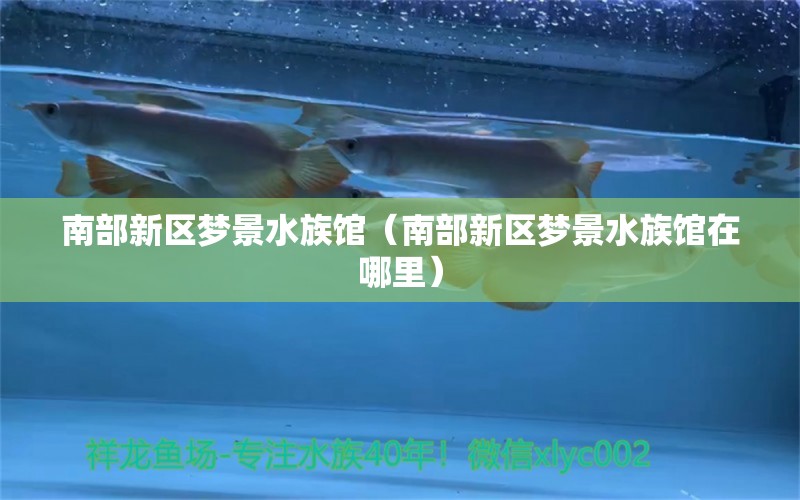 南部新区梦景水族馆（南部新区梦景水族馆在哪里）