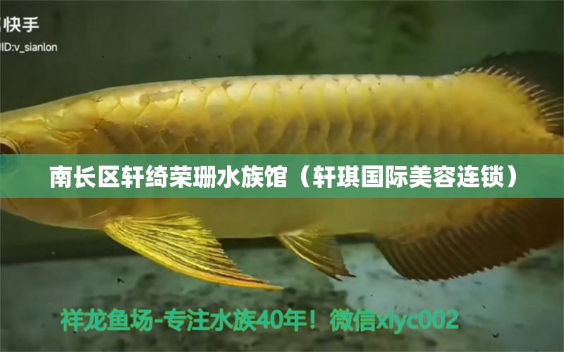 南长区轩绮荣珊水族馆（轩琪国际美容连锁）