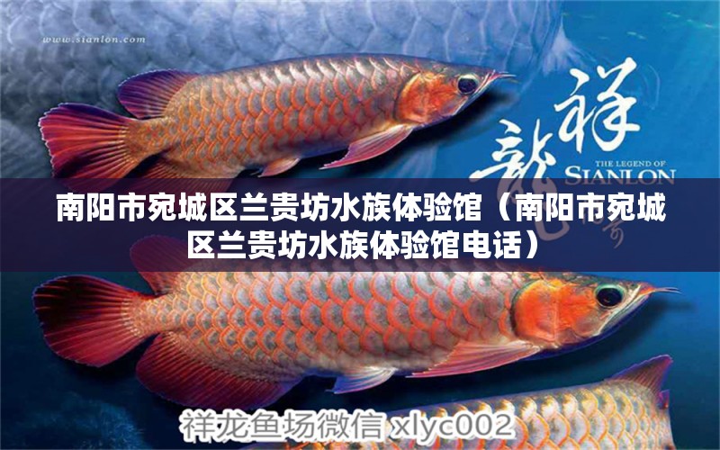 南阳市宛城区兰贵坊水族体验馆（南阳市宛城区兰贵坊水族体验馆电话）