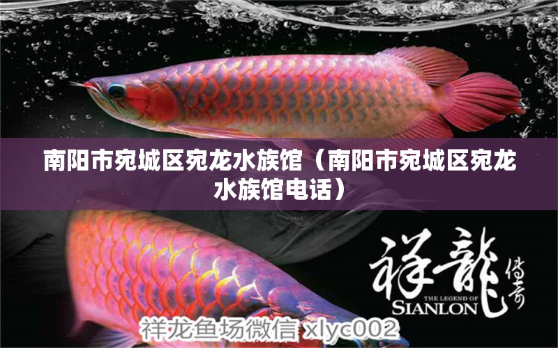 南阳市宛城区宛龙水族馆（南阳市宛城区宛龙水族馆电话）