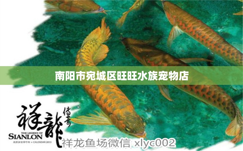 南阳市宛城区旺旺水族宠物店