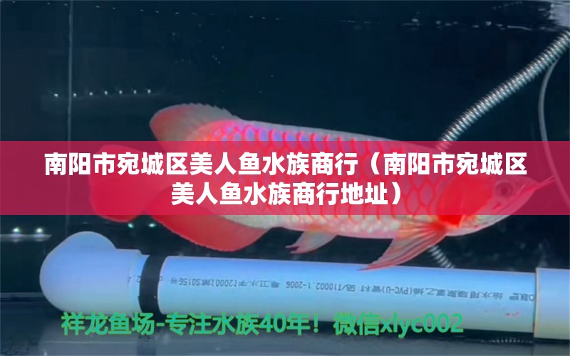 南阳市宛城区美人鱼水族商行（南阳市宛城区美人鱼水族商行地址）