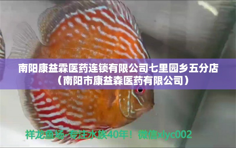 南阳康益霖医药连锁有限公司七里园乡五分店（南阳市康益森医药有限公司）