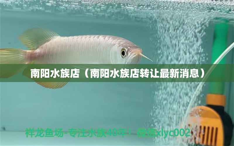 南阳水族店（南阳水族店转让最新消息）