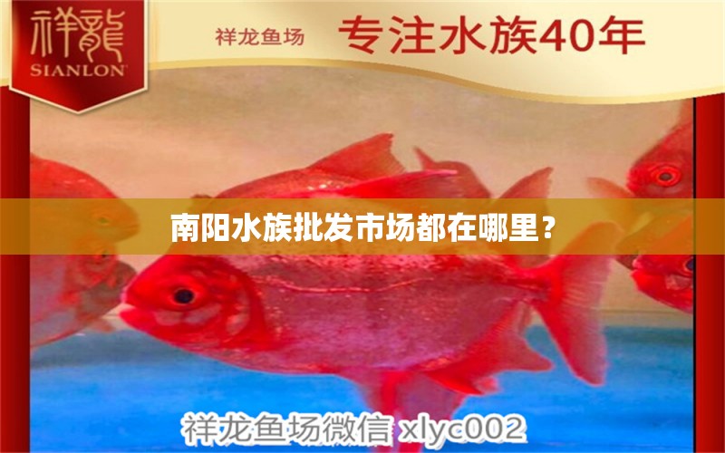 南阳水族批发市场都在哪里？