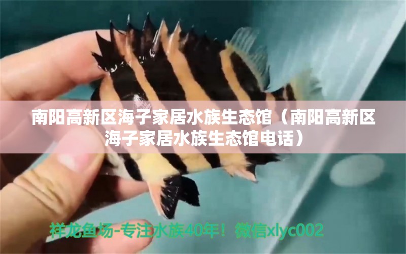 南阳高新区海子家居水族生态馆（南阳高新区海子家居水族生态馆电话）