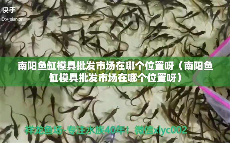 南阳鱼缸模具批发市场在哪个位置呀（南阳鱼缸模具批发市场在哪个位置呀）