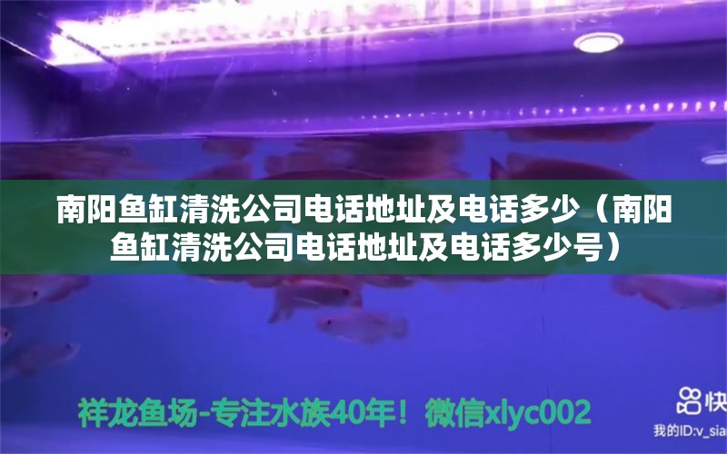 南阳鱼缸清洗公司电话地址及电话多少（南阳鱼缸清洗公司电话地址及电话多少号）