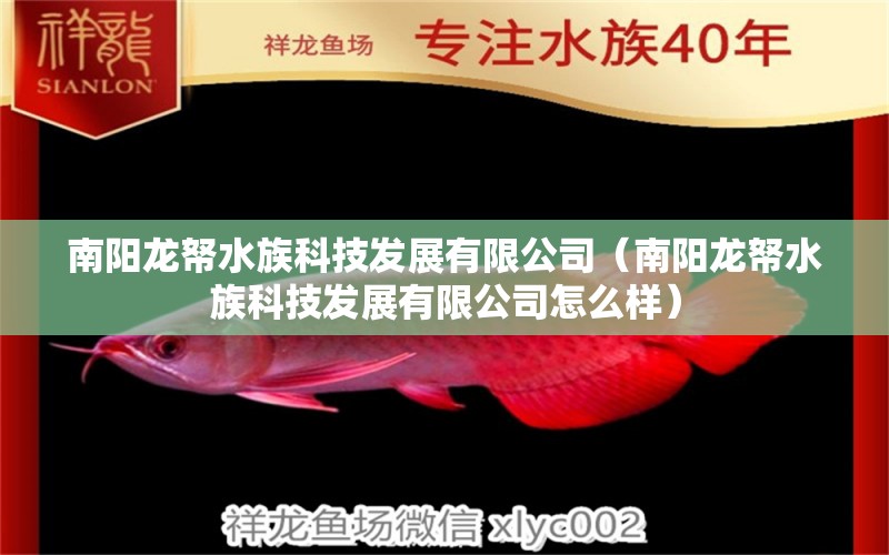 南阳龙帑水族科技发展有限公司（南阳龙帑水族科技发展有限公司怎么样）