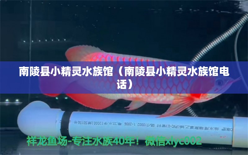 南陵县小精灵水族馆（南陵县小精灵水族馆电话）