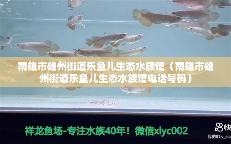 南雄市雄州街道乐鱼儿生态水族馆（南雄市雄州街道乐鱼儿生态水族馆电话号码）