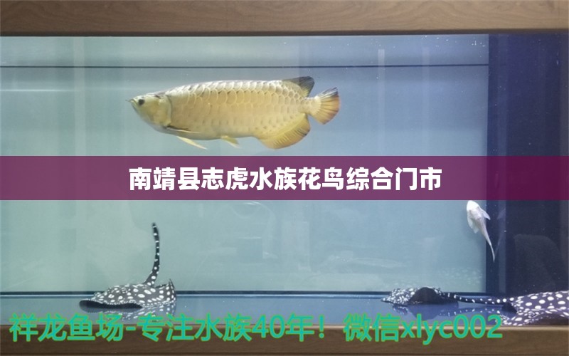 南靖县志虎水族花鸟综合门市 全国水族馆企业名录
