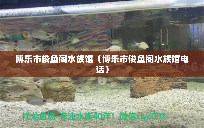 博乐市俊鱼阁水族馆（博乐市俊鱼阁水族馆电话） 全国水族馆企业名录