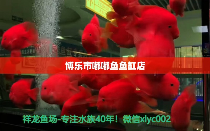 博乐市嘟嘟鱼鱼缸店 全国水族馆企业名录