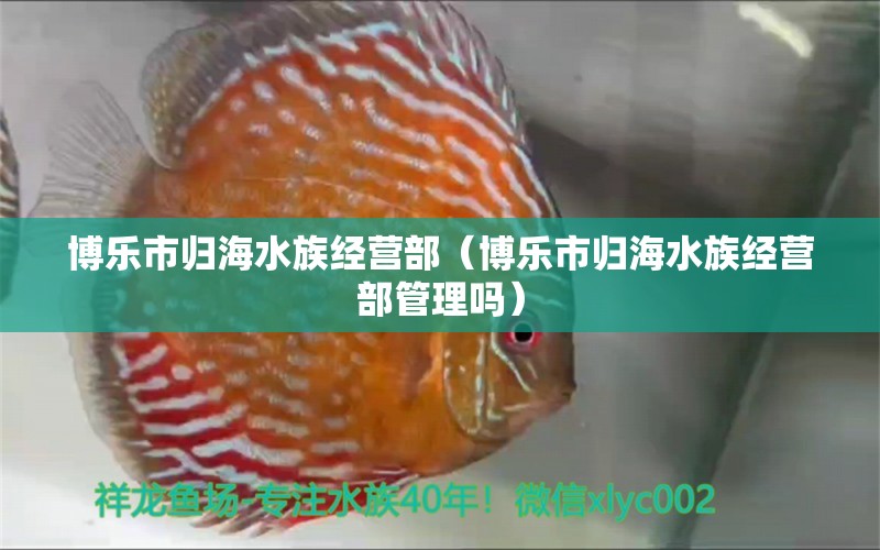 博乐市归海水族经营部（博乐市归海水族经营部管理吗）