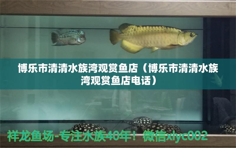 博乐市清清水族湾观赏鱼店（博乐市清清水族湾观赏鱼店电话） 全国水族馆企业名录