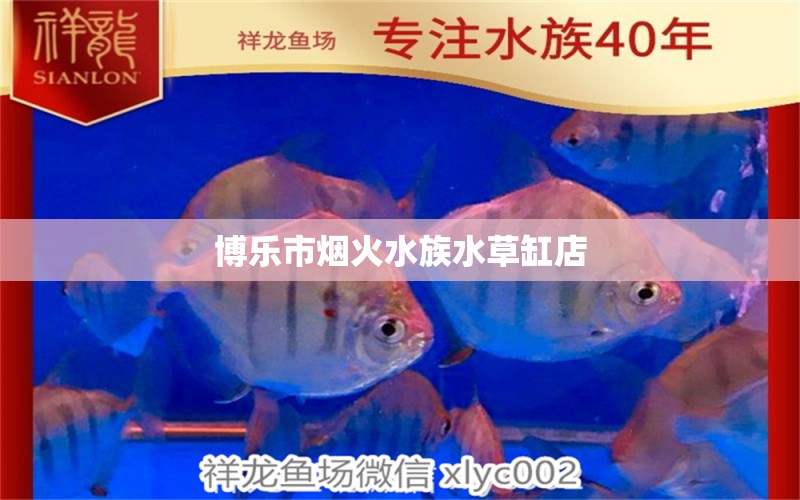 博乐市烟火水族水草缸店