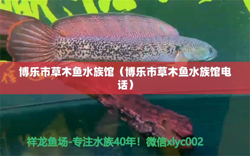 博乐市草木鱼水族馆（博乐市草木鱼水族馆电话） 全国水族馆企业名录