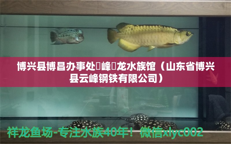 博兴县博昌办事处雲峰魟龙水族馆（山东省博兴县云峰钢铁有限公司）