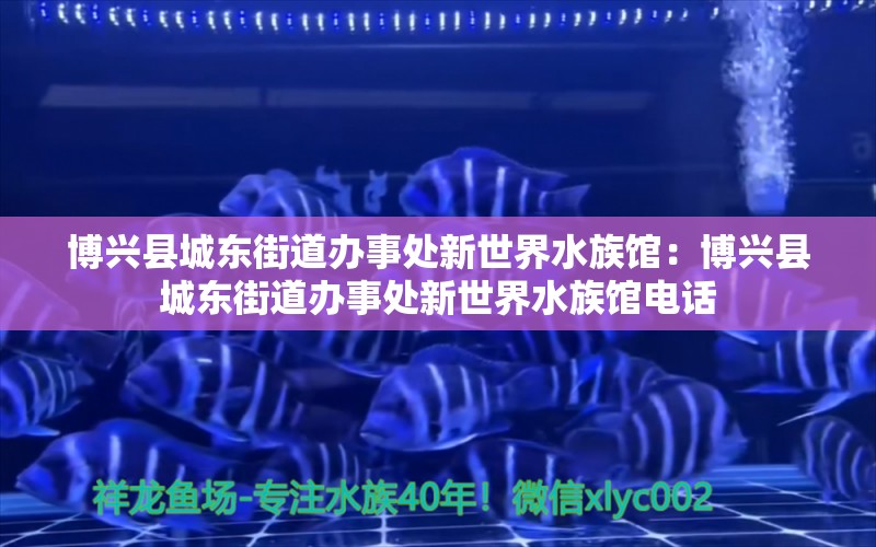 博兴县城东街道办事处新世界水族馆：博兴县城东街道办事处新世界水族馆电话 全国水族馆企业名录