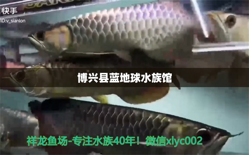 博兴县蓝地球水族馆