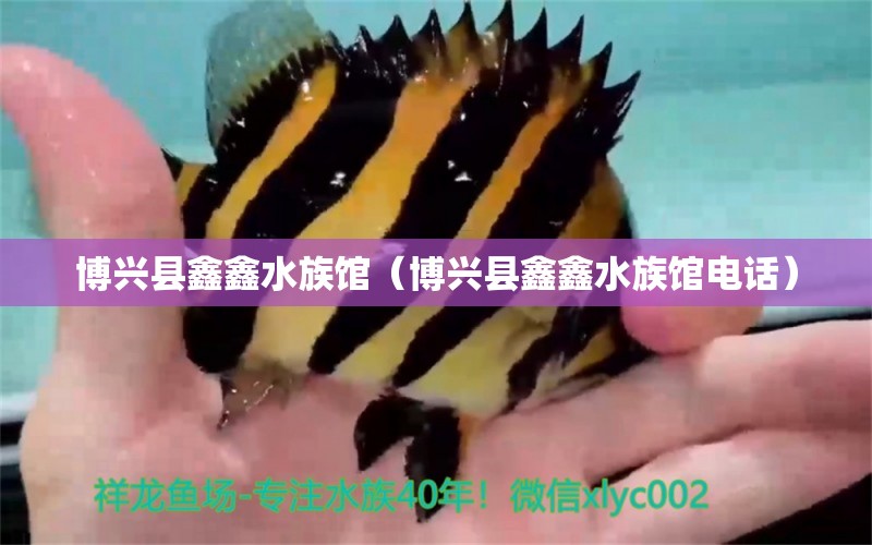 博兴县鑫鑫水族馆（博兴县鑫鑫水族馆电话）