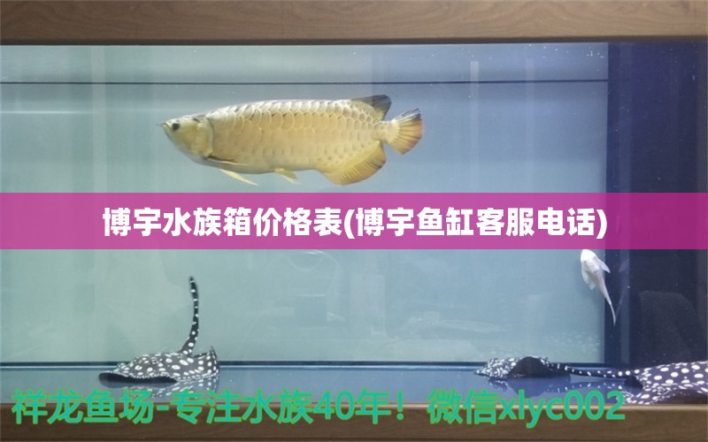 博宇水族箱价格表(博宇鱼缸客服电话)