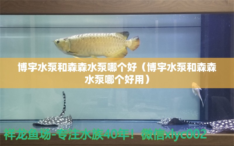 博宇水泵和森森水泵哪个好（博宇水泵和森森水泵哪个好用）