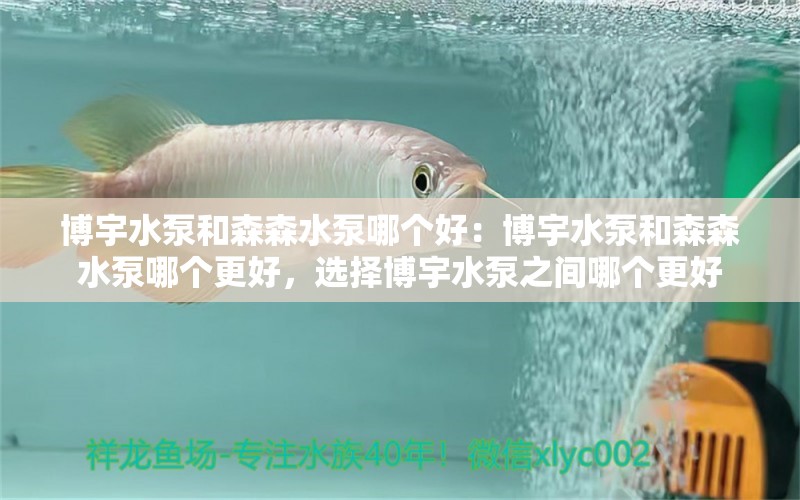 博宇水泵和森森水泵哪个好：博宇水泵和森森水泵哪个更好，选择博宇水泵之间哪个更好 森森鱼缸 第1张