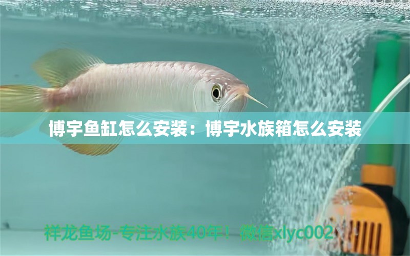 博宇鱼缸怎么安装：博宇水族箱怎么安装