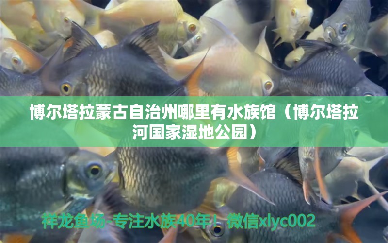 博尔塔拉蒙古自治州哪里有水族馆（博尔塔拉河国家湿地公园） 祥龙水族医院