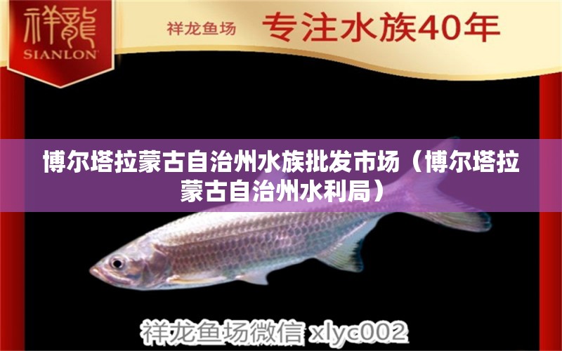 博尔塔拉蒙古自治州水族批发市场（博尔塔拉蒙古自治州水利局）