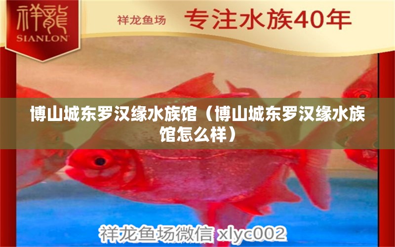 博山城东罗汉缘水族馆（博山城东罗汉缘水族馆怎么样） 全国水族馆企业名录