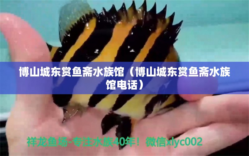 博山城东赏鱼斋水族馆（博山城东赏鱼斋水族馆电话） 全国水族馆企业名录